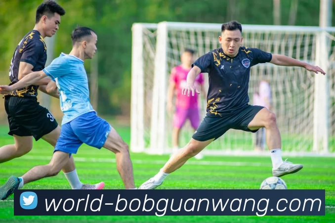 BOB官网平台生态图